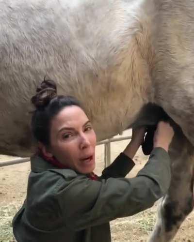 Remember when Whitney Cummings wanted to save some zoo animals from a forest fire but ended up jerking off a horse for clout instead?