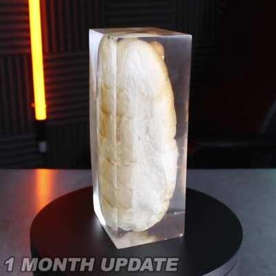 As promised the epoxy hot dog after one month see you in three months