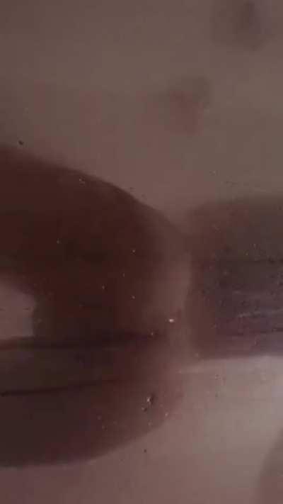 Kya's Shower Shake 🚿