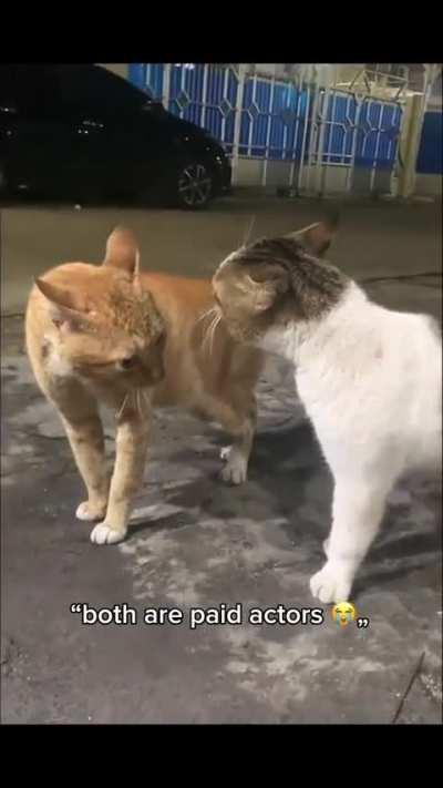 WhyRat trying to contribute on field whenever he fails to contribute with bat.