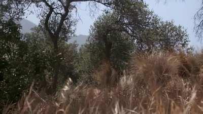 [OC][Audio] The final Paul Rudd gif.