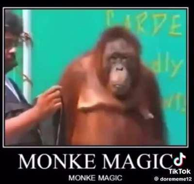 You cannot comprehend the power of the monke druid.