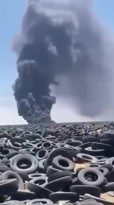 The damage to the environment…