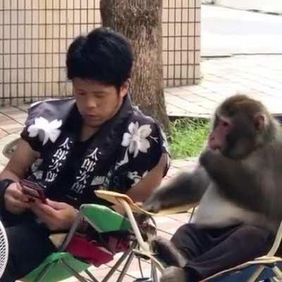 Monkey Secrets