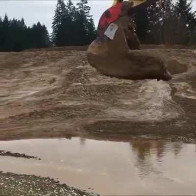 Rescuing a deer stuck in the mud using a backhoe.
