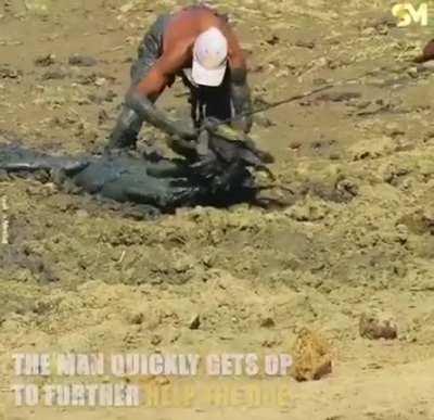 HMRB while I save this stuck impala