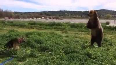 Just watering the lawn. And the dog. Then doing my little dancey dance.