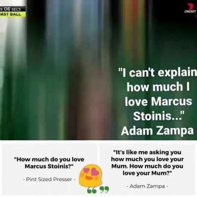 StoinPa>>>>>SurVir. OG broz