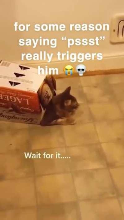 (not mine, found it on instagram)