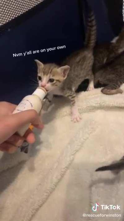 So many law breakers of my goodness!