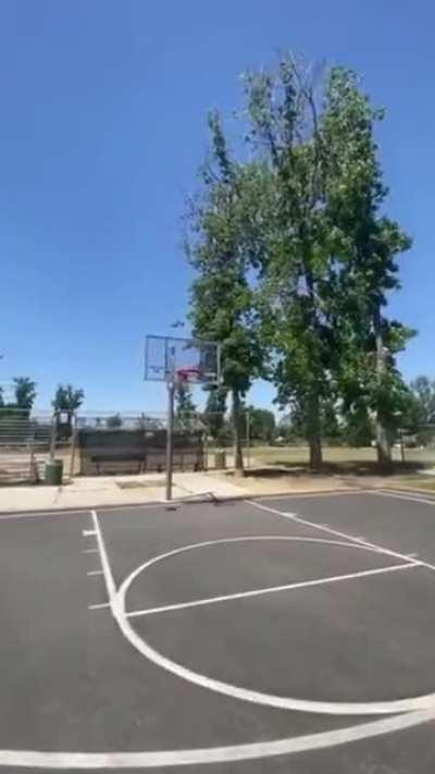 Cop decides to join in for some basketball and hits an amazing shot.