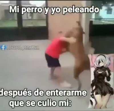 El perro xd