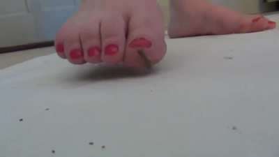 Skyler and shya crush cricket with sandals