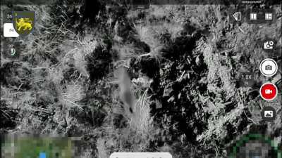 Russian Invader Blown in Half After Ukrainian Drone Drop