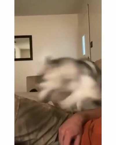 Excitement Level 200