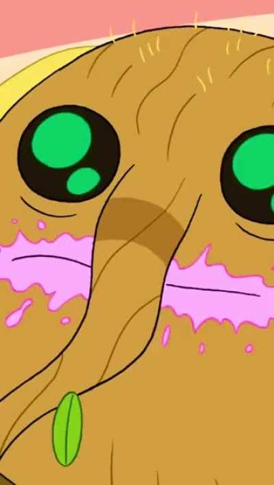 Totally beautiful inside and out