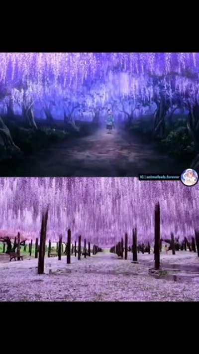 Anime vs Real life scenes