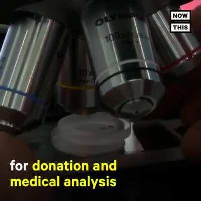 Vagina replicating machine