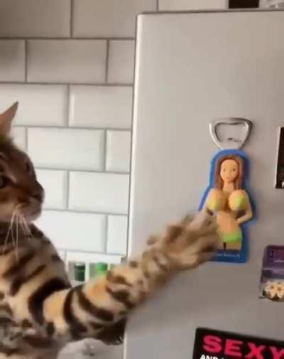 Правильное настроение