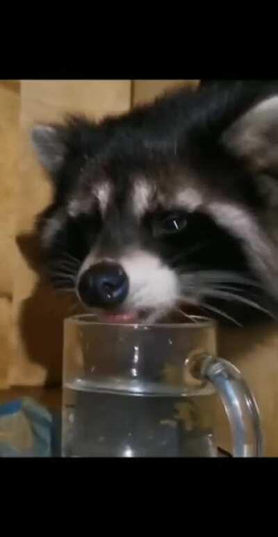 Now this is the correct way to drink water...