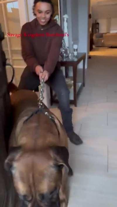 How can you even walk this beast.