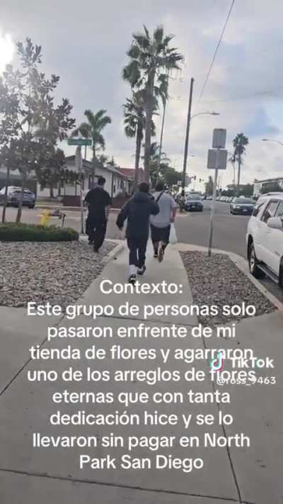 Couple of foos robbing raza street vendor flowers 