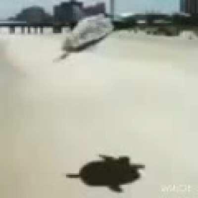 ⠀⠀⠀⠀⠀⠀⠀⠀⠀