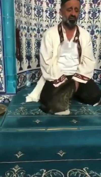 Cat shows affection to imam hooman