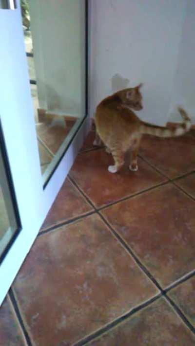 I'm still not sure what was so interesting behind that door.