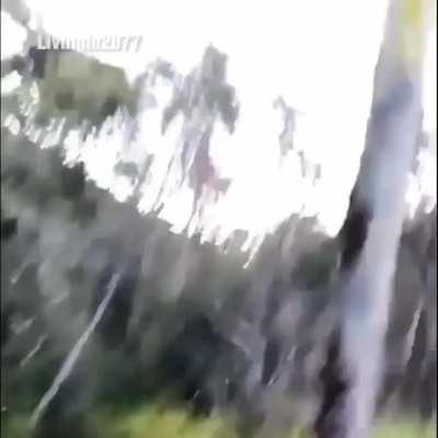 Look, there's someone behind you.