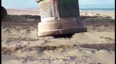 Large magnet removes nails from Dutch beach after huge bonfire