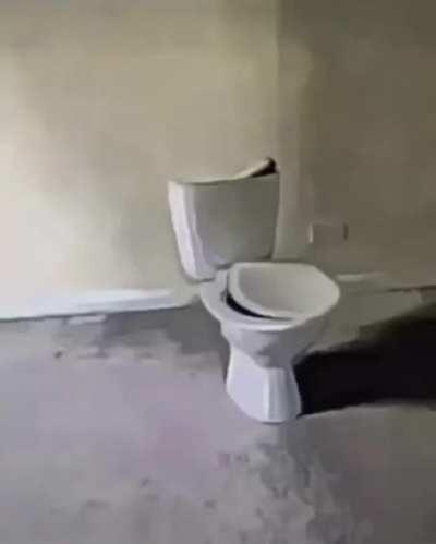 Cursed_toilet_dementia