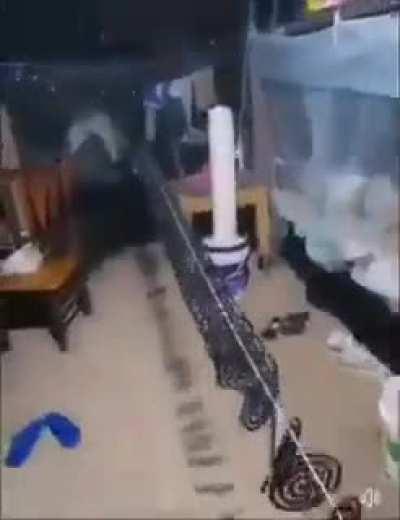 thousand ways to kill mosquitoes!