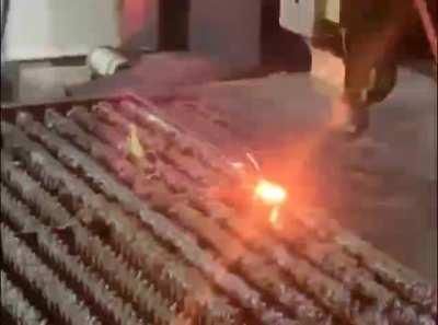 Praying mantis in the middle of a boss fight