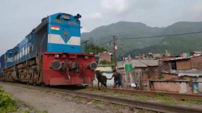 Mule Thinks He Owns The Railroad Tracks