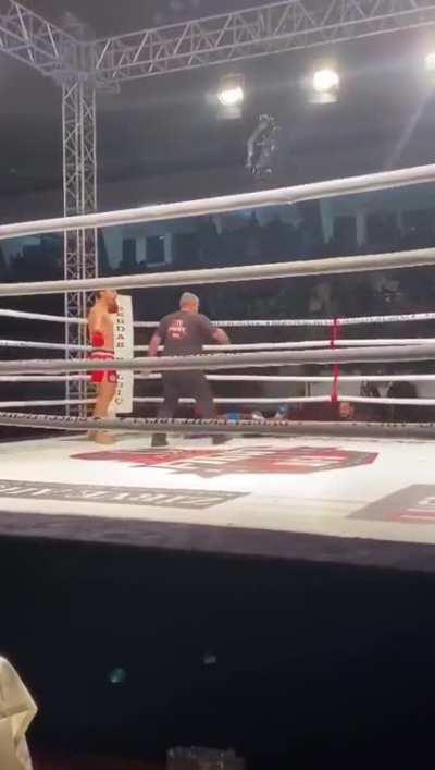 knockout with a professional punch in a professional kickboxing match
