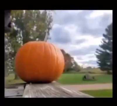 Sociopath players on Prison Nightmare