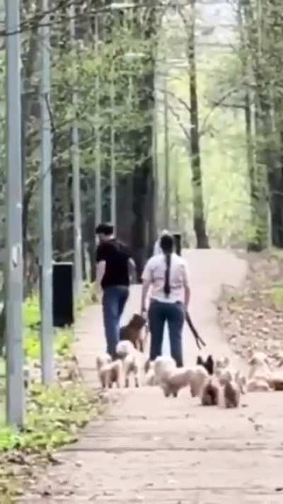 There is always a bigger stick