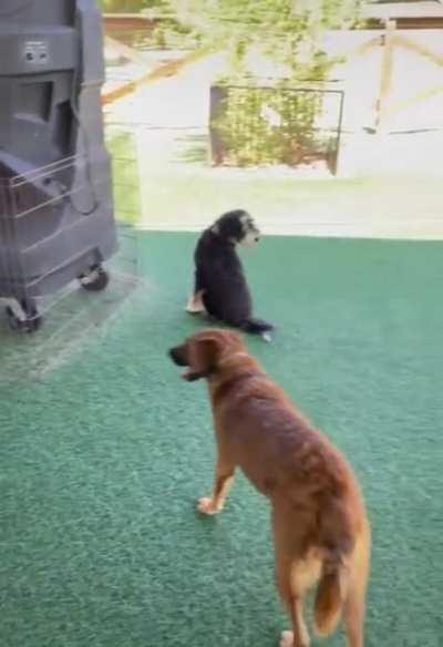 Japanese government sends individuals quarantining at home free care packages! Shown is for 1 person (me) in Tokyo.