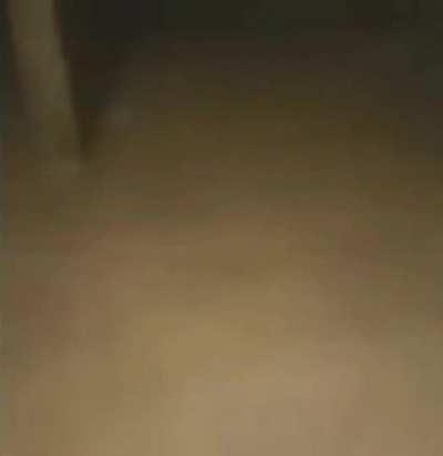 Ḥ̵̤̌ę̷̛̈́̊̃͊l̶̨̬͈̫̞̮̳̆̀̍́́̇͐̽͘͜͝ļ̶̡̟̯̩͔̠͎͇̦͍͍̆̈́̊̾̾̐́́̀̽͘͝o̷̧̡̟̯̺̪͌̍̍̆͜͠