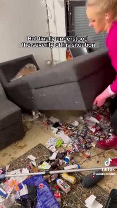 Cleaning up the home of a busy caretaker