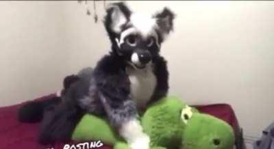 He has left us but sometimes streaks of light grace the corners of our rooms.