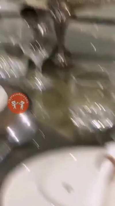 Muito cuidado no fogão!