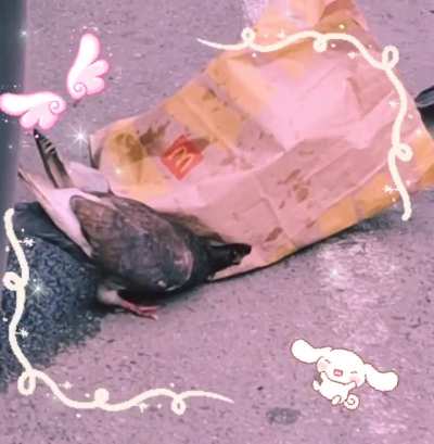 Just us girls grabbing lunch 🎀✨️