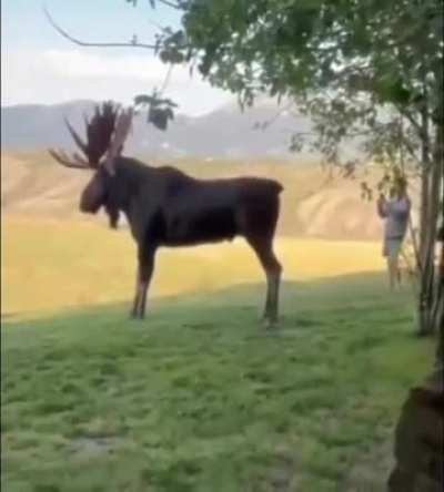 I will take my sweet time