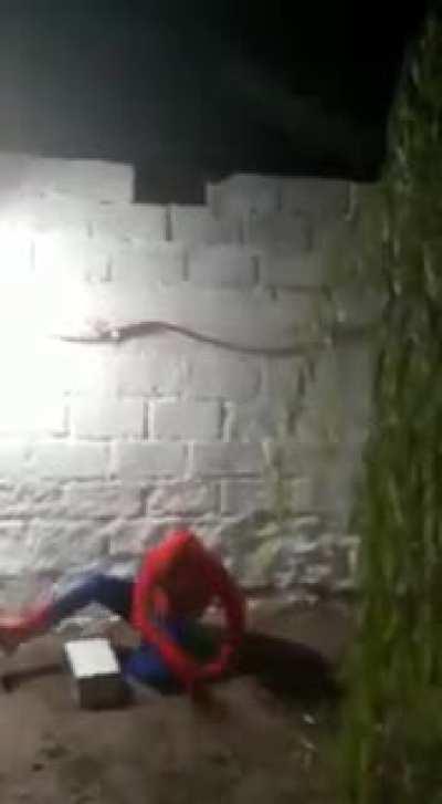 Nooooo spaidi 😭😭😭