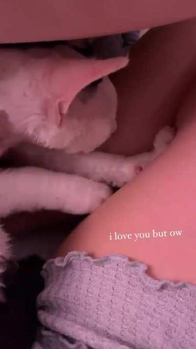 Jodi's cat Mabel squishing on her juicy thighs is something I'm very jealous of