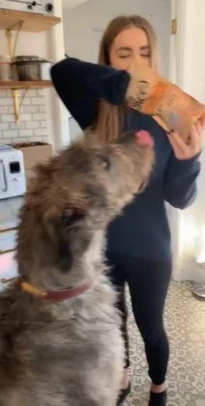 Are horses allowed on this sub?