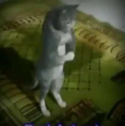 very emotional watch