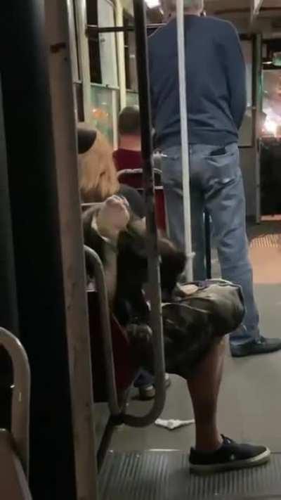 lele be ceo rakun u dvojku